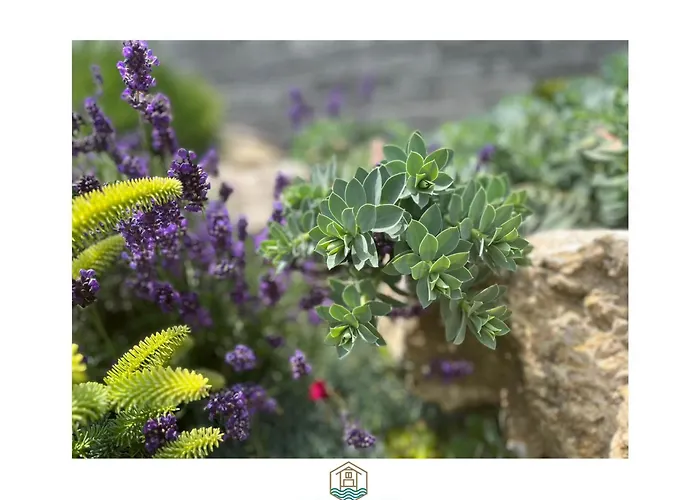 Flow House&Garden