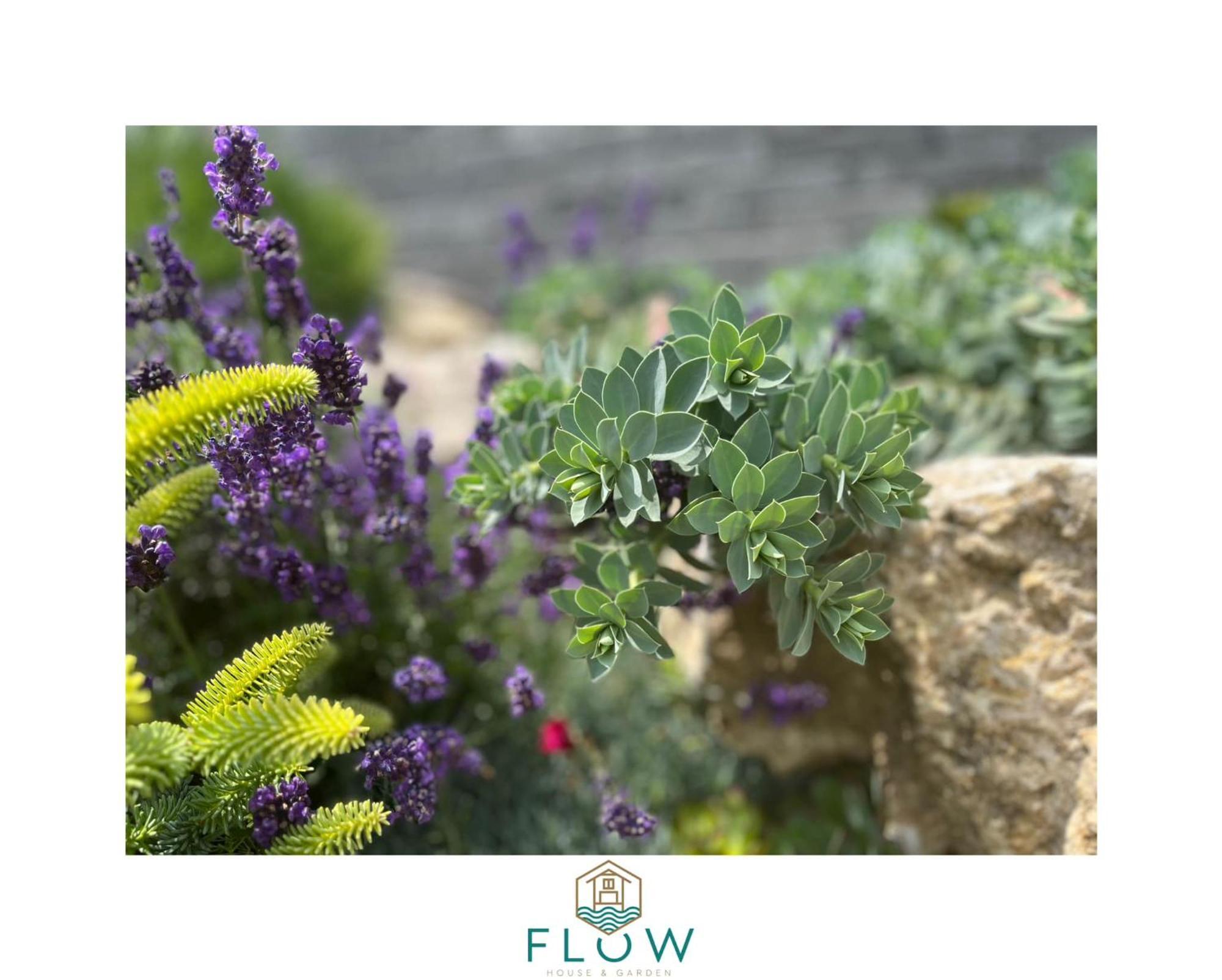 Flow House&garden Villa *