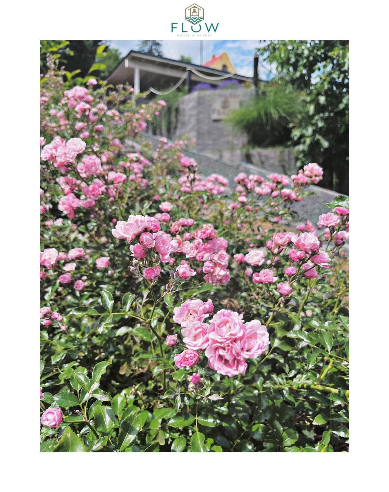 Villa Flow House&garden